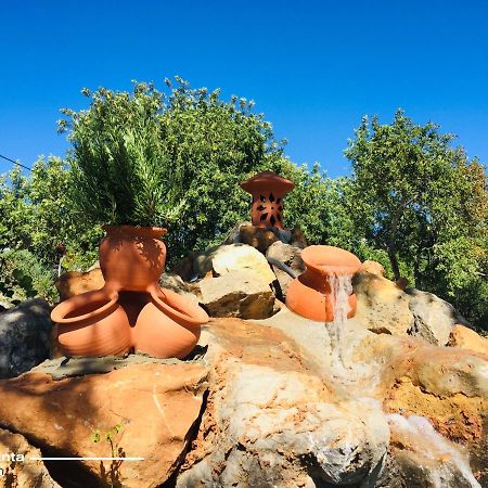 Vila Quinta Dos Netos Tavira Exteriér fotografie